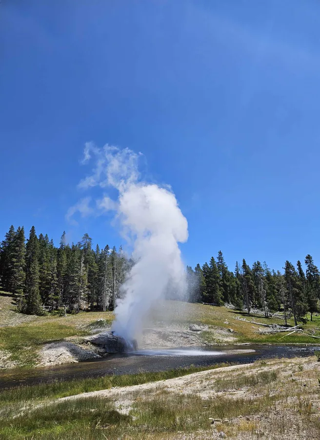 Yellowstone